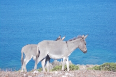 DSCN0074