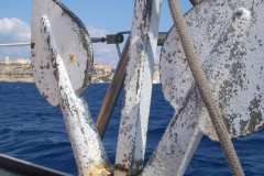DSCN4636