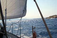 DSCN4735