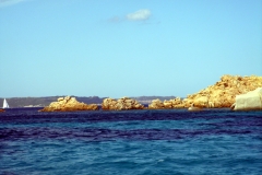 DSCN4525