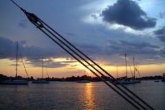 DSCN4597
