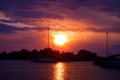 DSCN4598