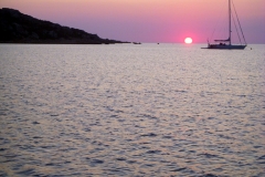 DSCN4727