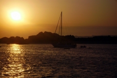 IMGP1546