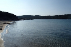 P9100202
