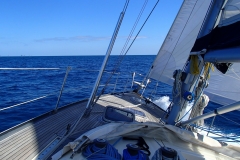P9150264